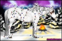 Horse Color:Bay Sabino 