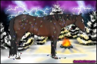 Horse Color:Brown Sabino 