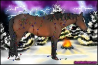 Horse Color:Bay Sabino 