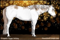 Horse Color:Red Dun Sabino Splash Frame Rabicano 