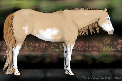 Horse Color: Red Dun Sabino Splash Frame Rabicano 