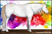 Horse Color:Red Dun Sabino Splash Frame Rabicano 