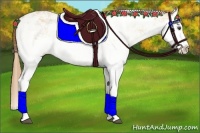 Horse Color:Red Dun Sabino Splash Rabicano 