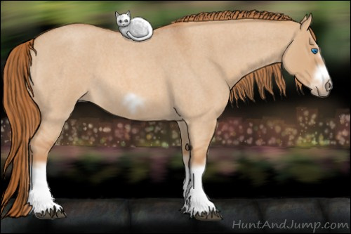 Horse Color: Red Dun Roan Sabino Splash Frame Rabicano 