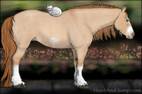 Horse Color:Red Dun Roan Sabino Splash Frame Rabicano