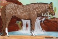 Horse Color:Chestnut Ice 