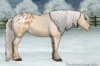 Horse Color:Palomino Sabino Blanket 