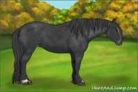 Horse Color:Black Sabino Varnish 