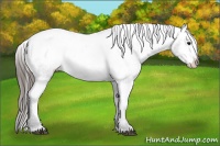 Horse Color:Black Sabino Varnish 
