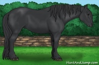 Horse Color:Black Sabino