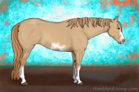 Horse Color:Red Dun Sabino Splash Frame Rabicano 