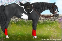 Horse Color:Black Frame