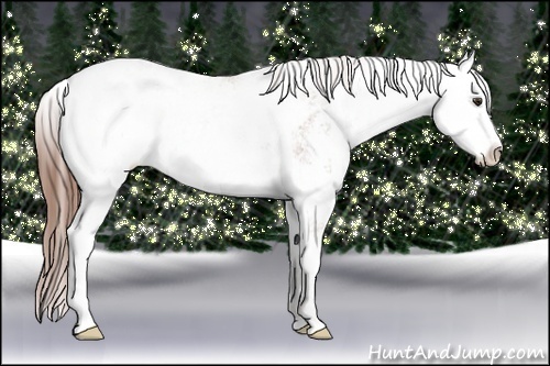 Horse Color: Chestnut Sabino Varnish 