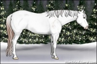 Horse Color:Chestnut Sabino Varnish 