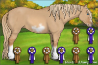 Horse Color:Red Dun Sabino Splash Frame Rabicano 