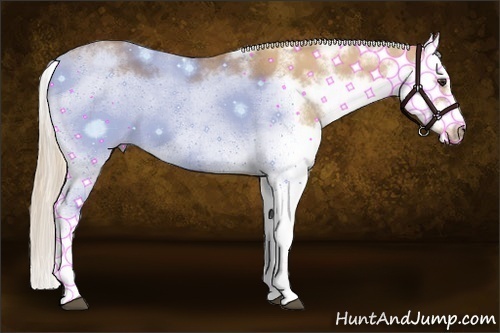 Horse Color:Red Dun Sabino Splash Frame Rabicano