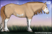 Horse Color:Red Dun Sabino Splash Frame Rabicano 
