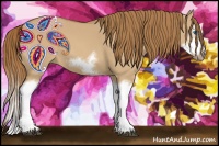 Horse Color:Red Dun Sabino Splash Frame Rabicano 