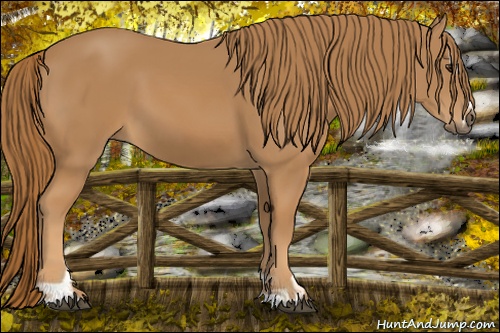 Horse Color: Chestnut Sabino 