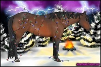 Horse Color:Bay Sabino 