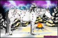 Horse Color:Bay Sabino 