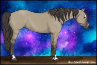 Horse Color:Smoky Grullo Sabino 