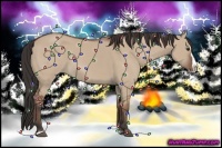 Horse Color:Bay Dun Sabino Splash 