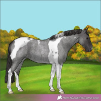 Horse Color:Smoky Blue Roan Tobiano 
