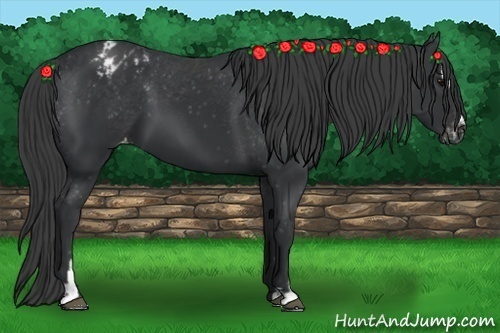 Horse Color: Black Sabino Blanket 