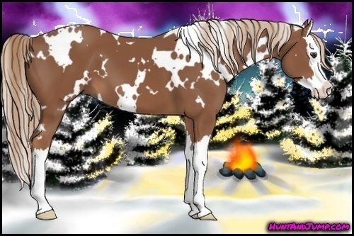 Horse Color: White Spotted Chestnut Sabino Splash 