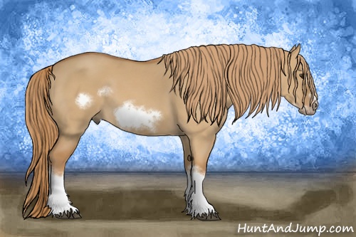 Horse Color: Red Dun Sabino Splash Frame Rabicano 