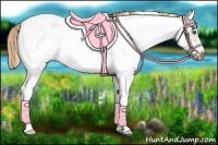 Horse Color:Red Dun Sabino Splash Frame Rabicano 