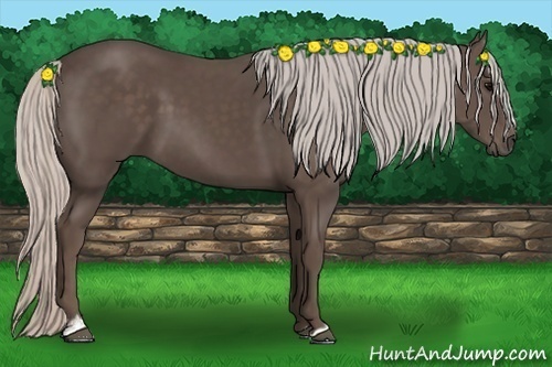 Horse Color: Silver Black Sabino 