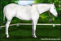 Horse Color:Smoky Creme Dun Sabino 