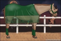 Horse Color:Red Dun Sabino 