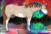 Horse Color:Red Dun Roan Sabino Splash Frame Rabicano 