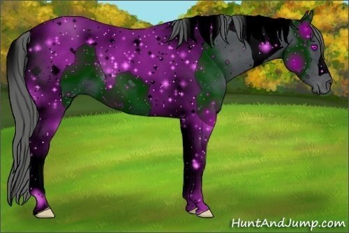 Horse Color: ERROR: UNKNOWN ANOMALY