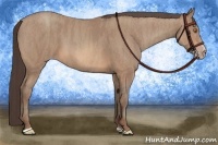 Horse Color:Sable Champagne Sabino Rabicano  Brindle