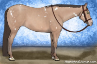 Horse Color:White Spotted Amber Champagne Sabino Rabicano