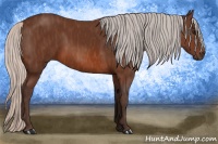 Horse Color:Silver Brown Sabino Rabicano  Brindle