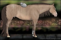 Horse Color:Sable Champagne Sabino Rabicano  Brindle