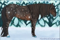 Horse Color:Brown Sabino Rabicano  Brindle