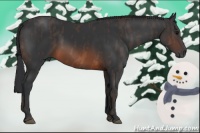 Horse Color:Brown Sabino Rabicano  Brindle
