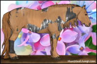 Horse Color:Brown Sabino Rabicano  Brindle