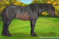 Horse Color:Brown Sabino Rabicano Brindle