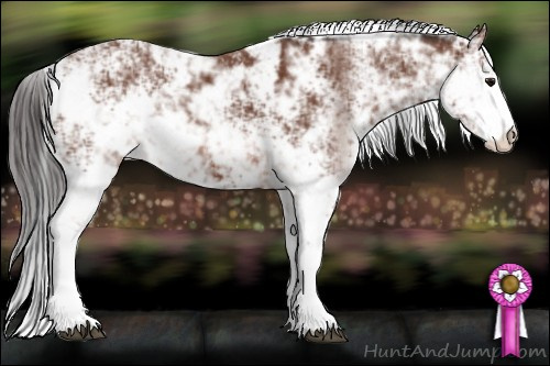 Horse Color: Bay Sabino 