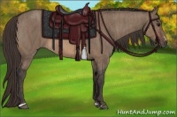 Horse Color:Brown Dun Sabino Rabicano  Brindle