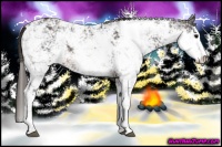 Horse Color:Brown Sabino Rabicano  Brindle