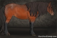 Horse Color:Brown Sabino Snowcap 