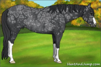 Horse Color:Brown Ice Rabicano 